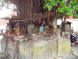 STP60733.JPG