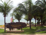 STP60777.JPG