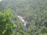 STP60782.JPG