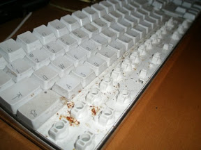 apple_klaviere0.JPG
