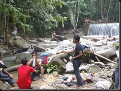 P3066126 Waterfall Survivors