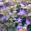 image064.jpg