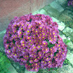 image123.jpg