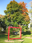 IMG_8554.JPG
