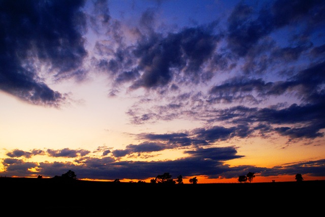 [DSC02975[2].jpg]