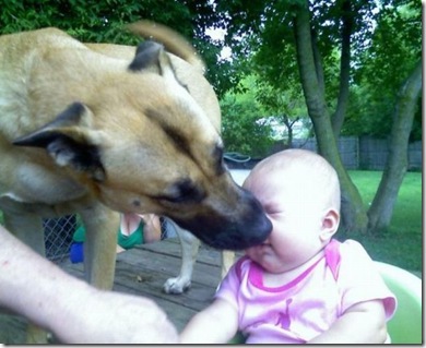 dog-try-to-lick-child