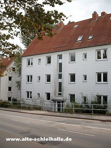 Schleswig Husumer Baum