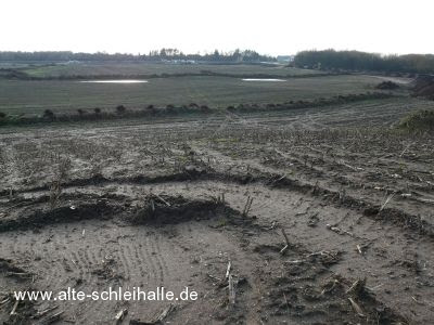 Neubaugebiet Berender Redder Schleswig - Wohnen mit Kindern in der Stadt