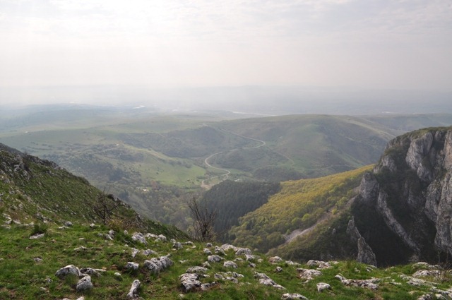 [DSC_04654.jpg]
