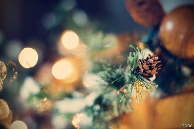 [IMG_0302 copy[2].jpg]