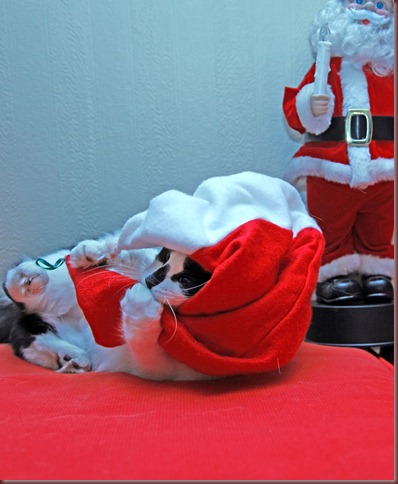 Julebilder 2010_121210_1832