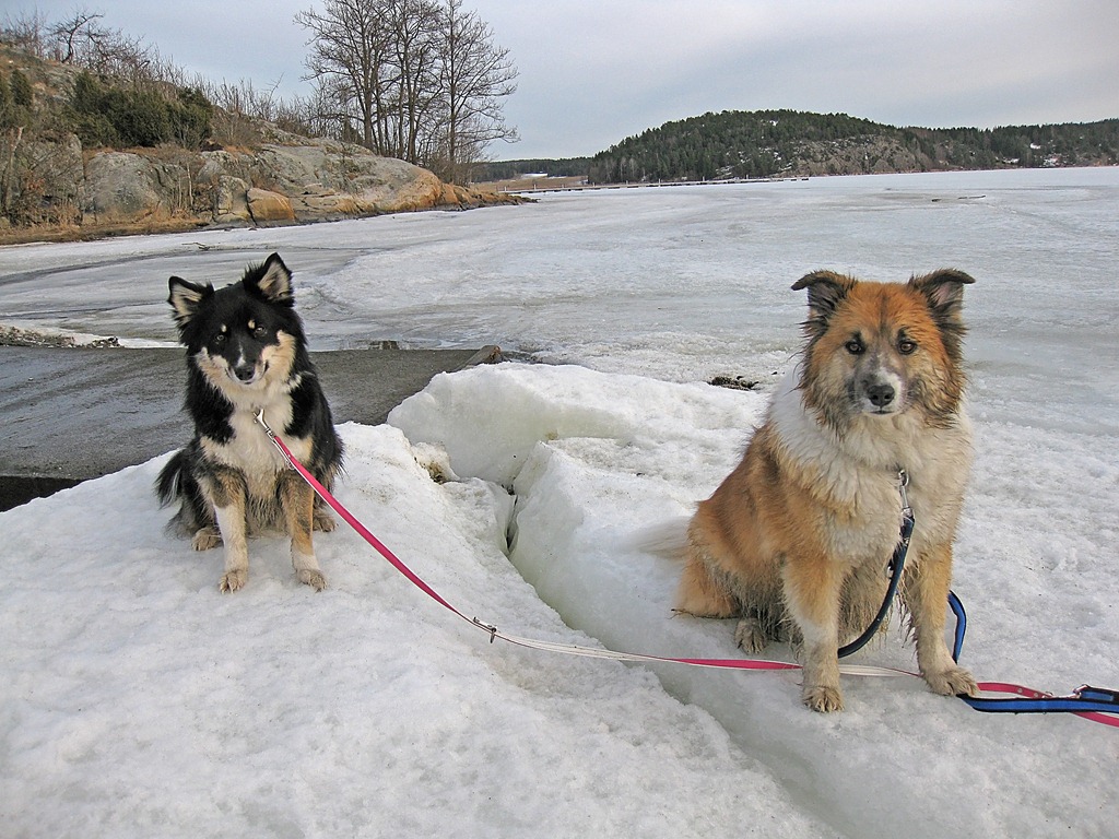 [Vår-tur_280311_4496[4].jpg]