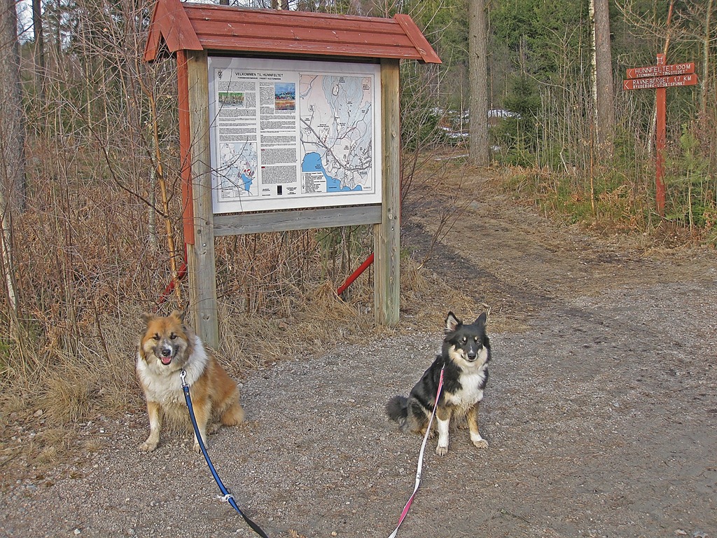 [Vår-tur_280311_4462[4].jpg]