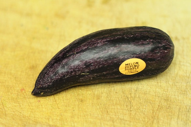 [melon[2].jpg]