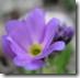 clip_image019