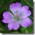 clip_image035 clip_image035