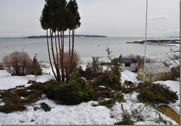 DSC_0038 DSC_0038