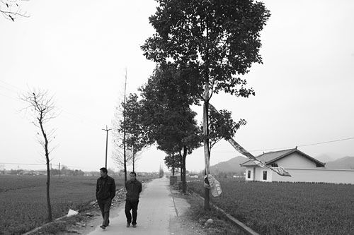 白小刺