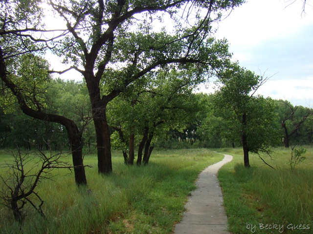 [06-24-10 Buffalo Lake Wildlife Refuge 11[2].jpg]