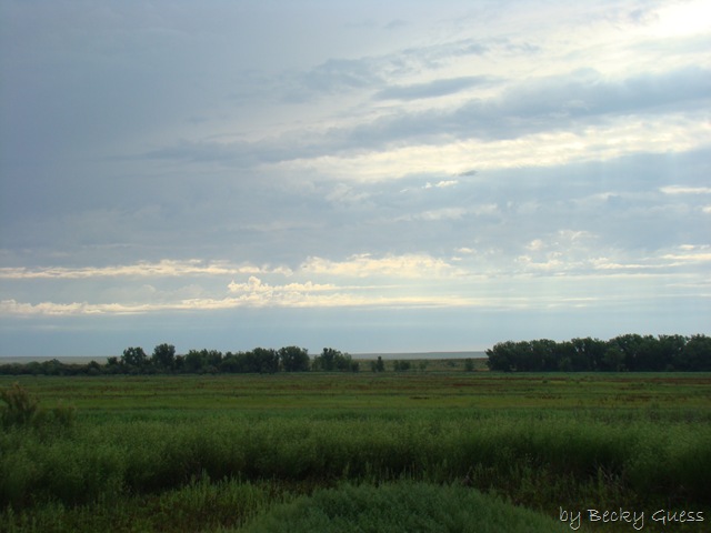 [06-24-10 Buffalo Lake Wildlife Refuge 16[2].jpg]