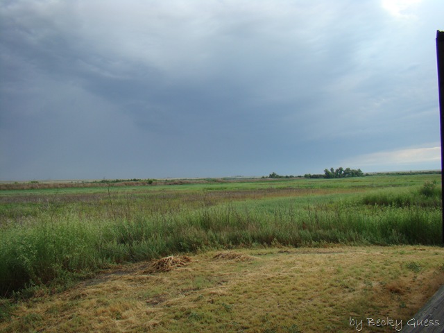 [06-24-10 Buffalo Lake Wildlife Refuge 17[2].jpg]