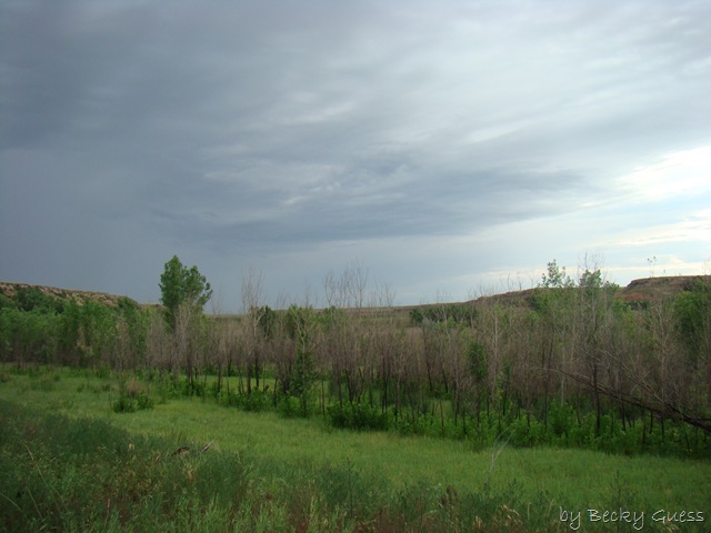[06-24-10 Buffalo Lake Wildlife Refuge 31[2].jpg]