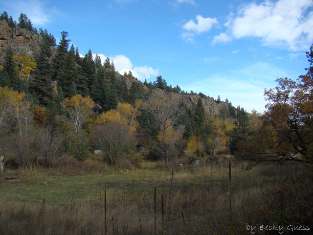 [10-22-10 to Taos 40[2].jpg]