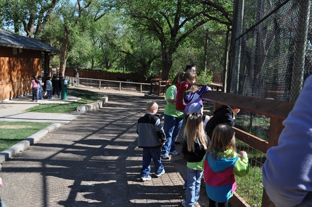 [042811Zoo0352.jpg]