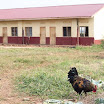 IMG_0707.JPG - Die Schule in Butimba