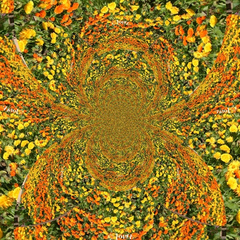 [pixlr_kaleidoscope 50[5].jpg]