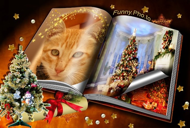 [Funny Pho-to 5[3].jpg]