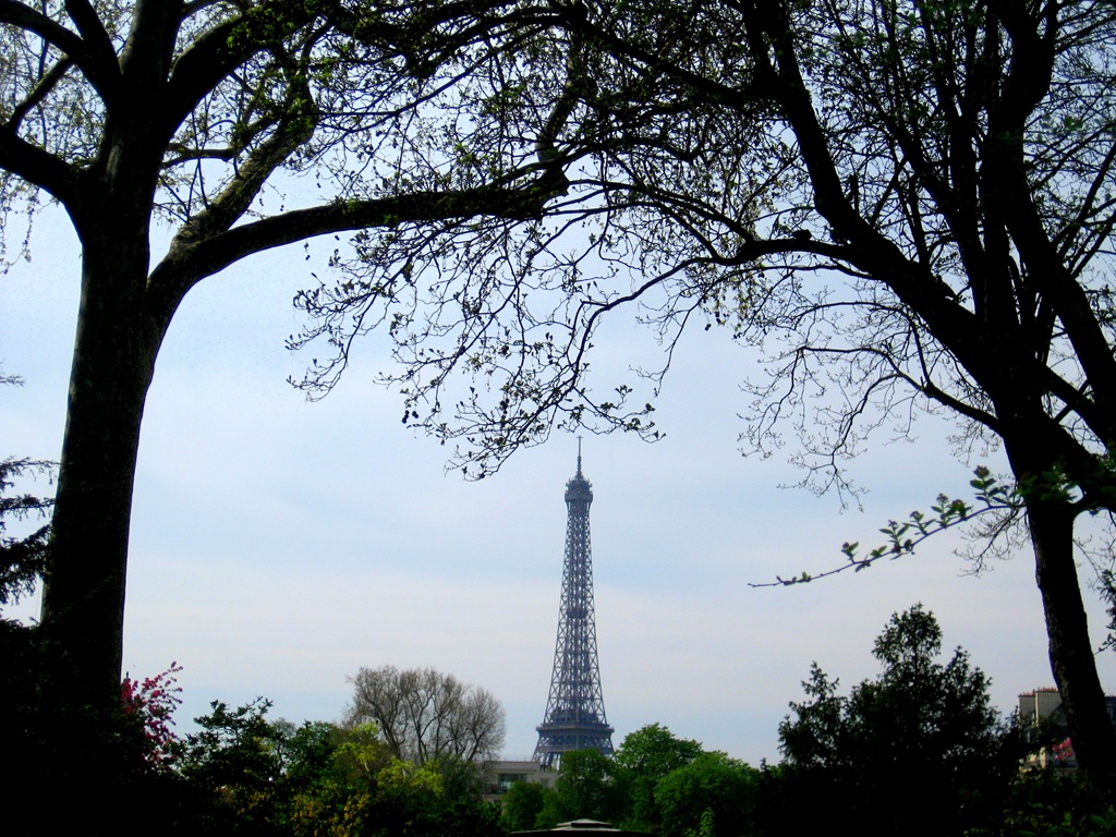 [Eiffel Tower 1[6].jpg]