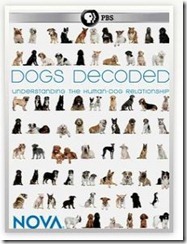 dogs decoded