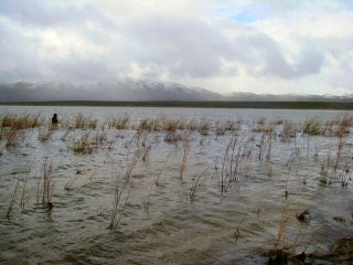 [blog_may_24_2010_5[1][4].jpg]