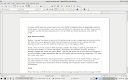 Open office writer window