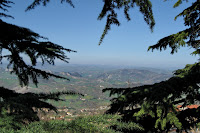 IMG_3675.jpg