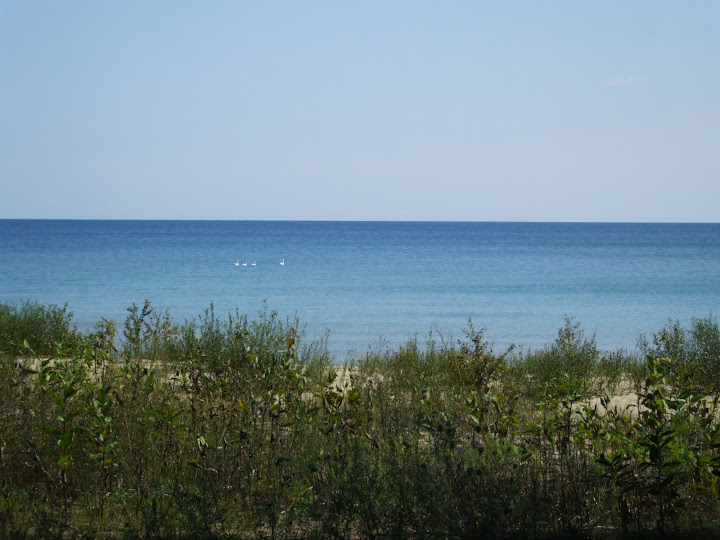 Summer%20Vacation%202010%20226.jpg