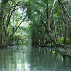 Indian River (Movie Set “Pirates of the Caribbean”)