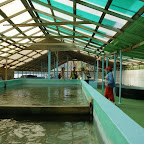 Old Hegg Turtle Sanctuary auf Bequia