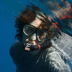 Spielzeug funktioniert