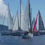 Gerangel an der Startlinie