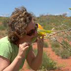 Nektarsaugen - hmmmmmm