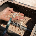 Die Früchte eines Tages Schürfen