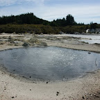 Hells Gate, kochender Tümpel (98°Celsius)