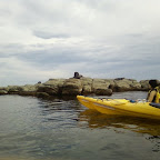 Seelöwen beobachten bei Kaikoura