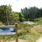 Niagara Fälle in Neuseeland. Ja das weisse Schäumchen da hinten ist es!