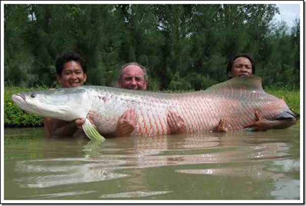 Peixe grande