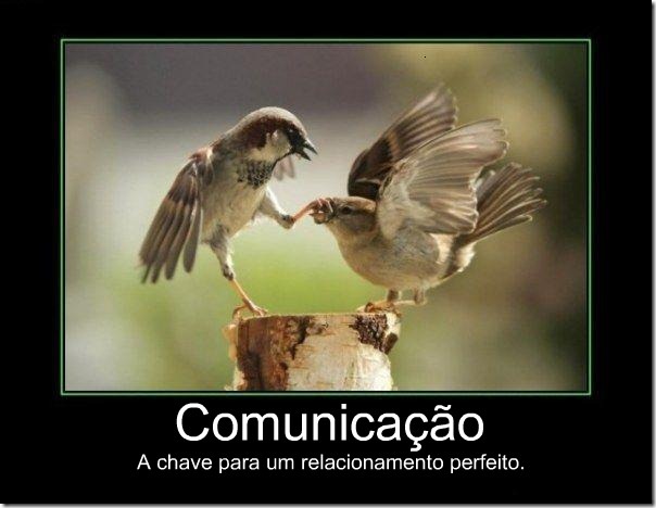 desmotivacional comunicação
