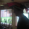 CIMG3218.JPG