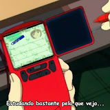palm.jpg